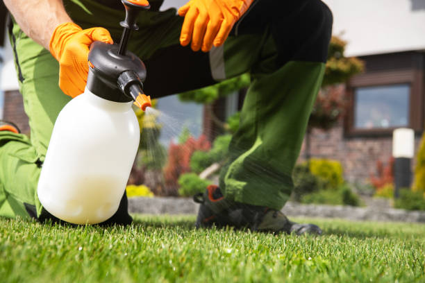 Professional Pest Control in Roscoe, IL